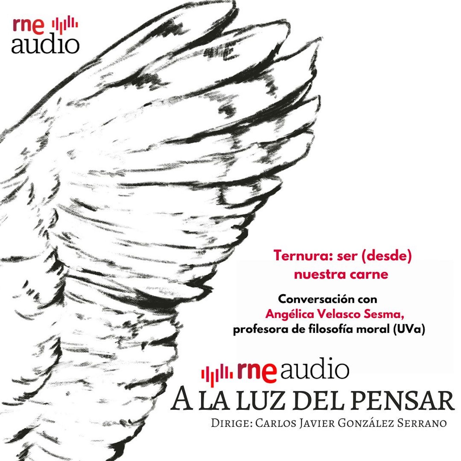 A la luz del pensar - Ternura: ser (desde) nuestra carne episode artwork