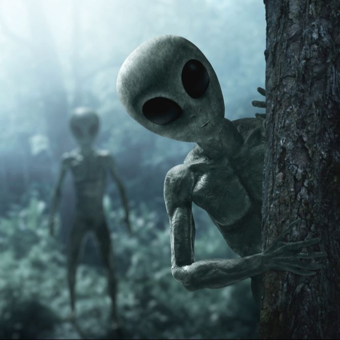 El árbol de la música