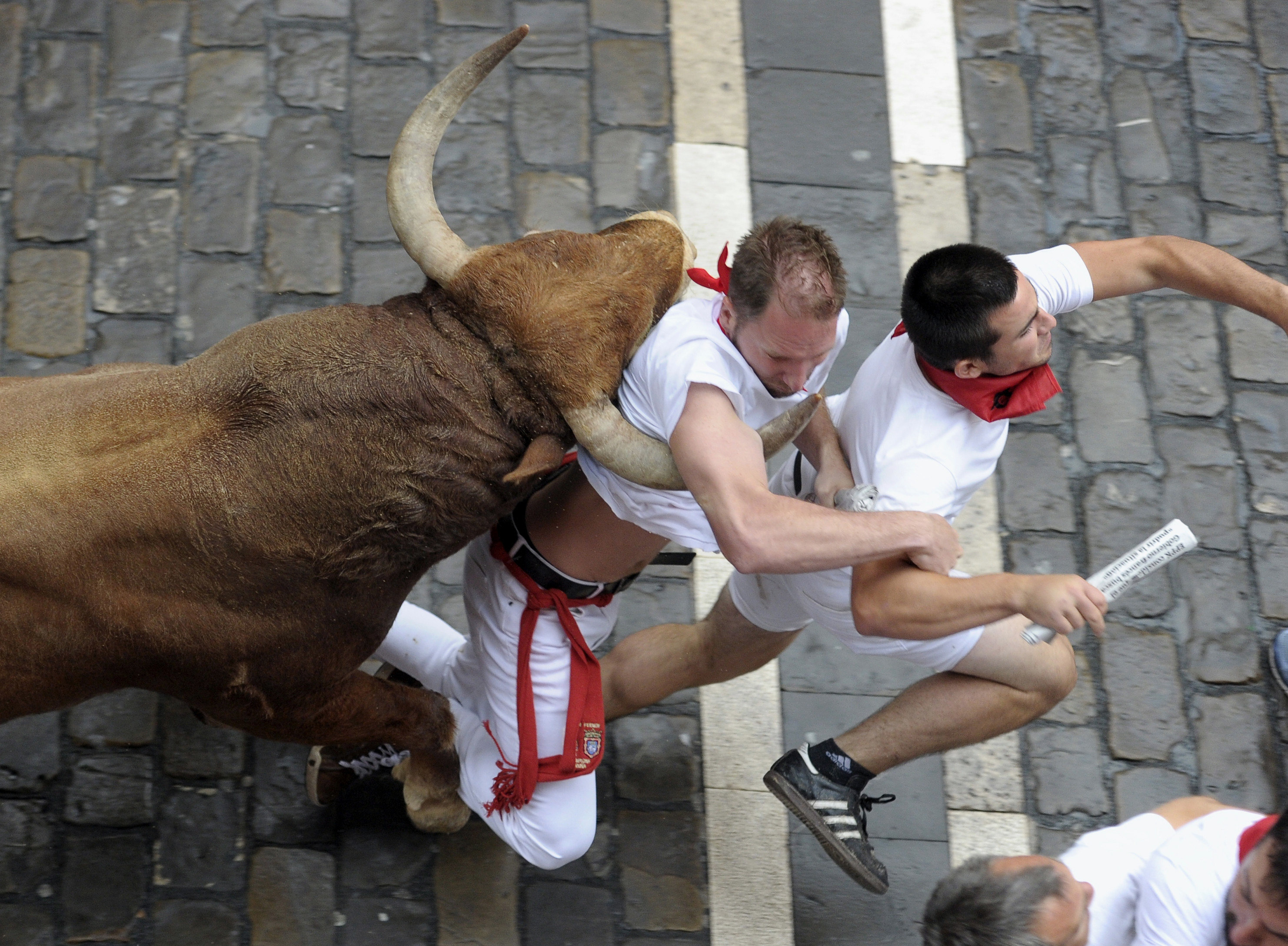 Un toro colorado ha adelantado a la manada en Santo Domingo Un toro colorado ha adelantado a la manada en Santo Domingo en el séptimo encierro de San Fermín 2016