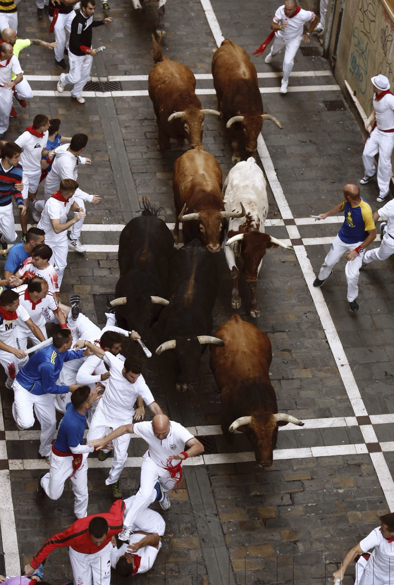 Los toros de Jandilla han hecho una carrera limpia Los toros de Jandilla han hecho una carrera limpia