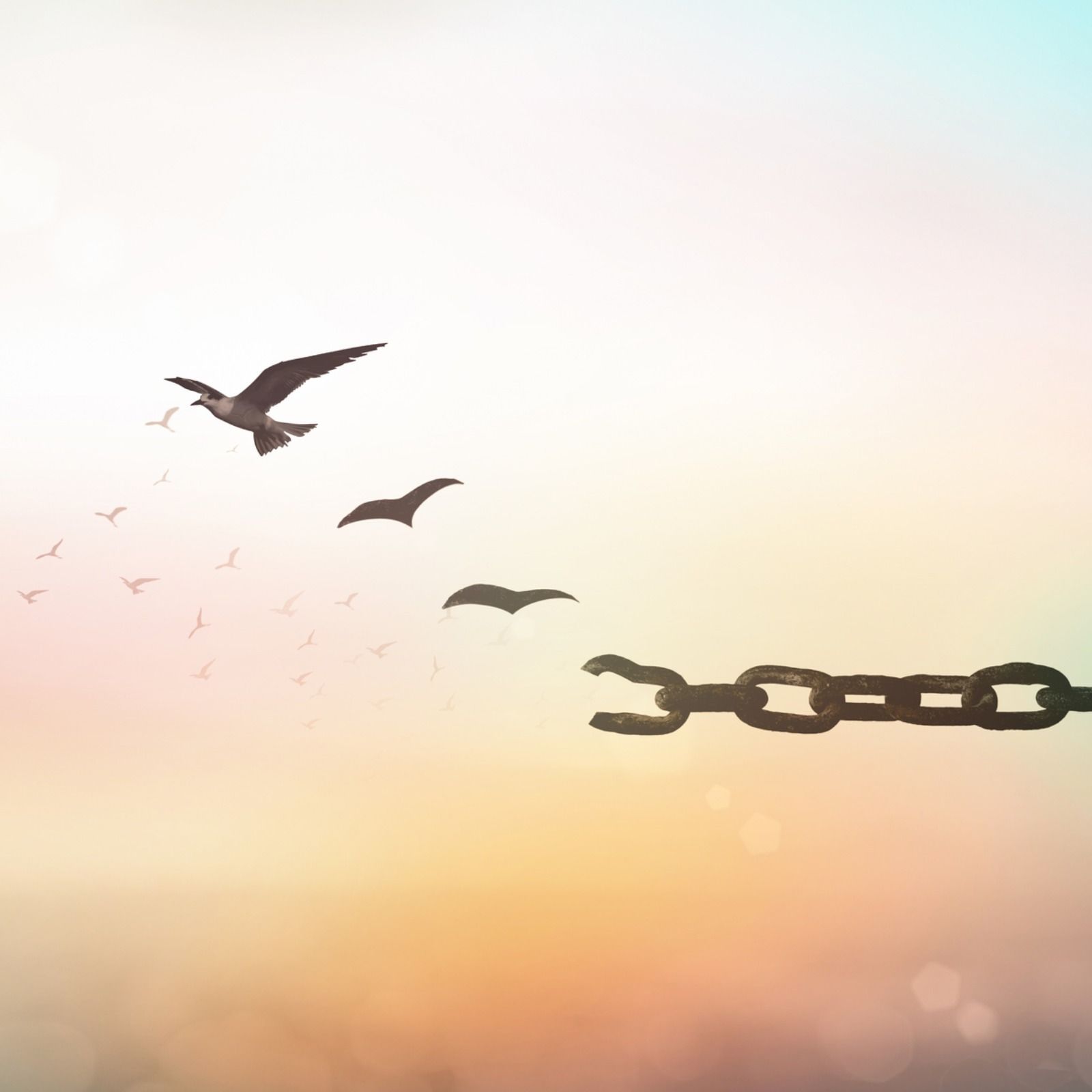 Tras la tormenta | Psicotaller: Creencias que rigen tu vida [3.22a]