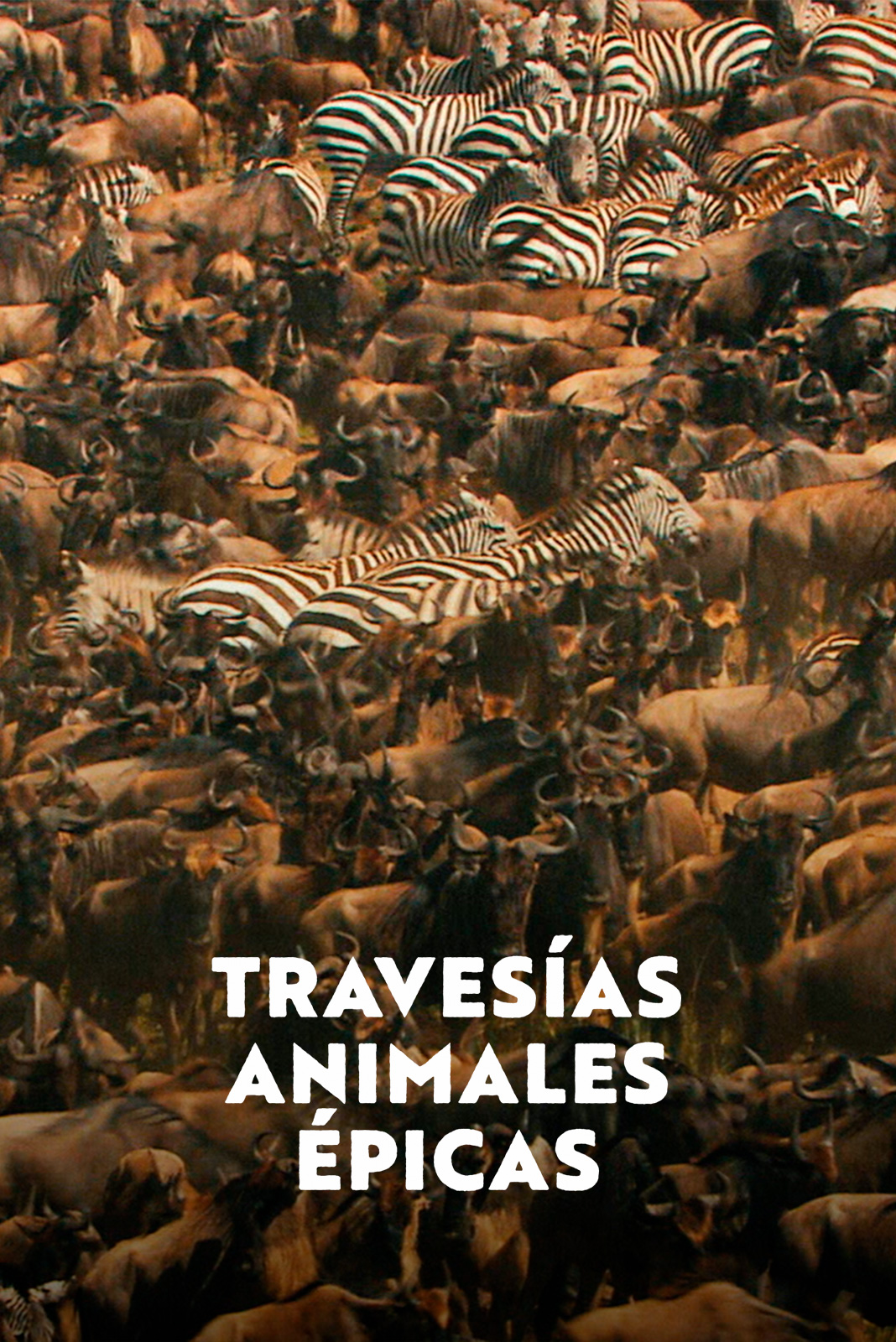Travesías animales épicas
