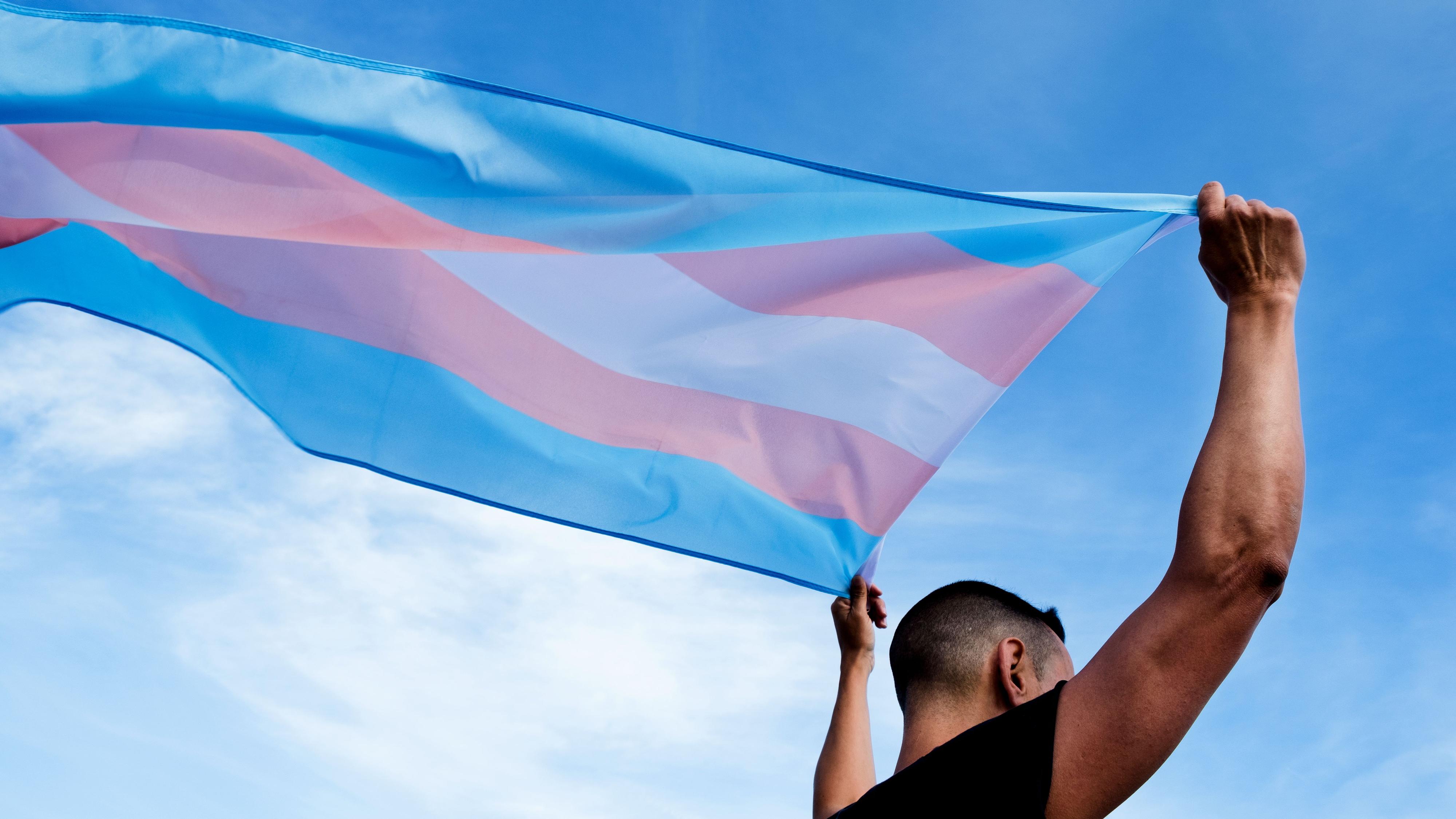 El TC suspende varios artículos de la ley trans y LGTBI de Madrid