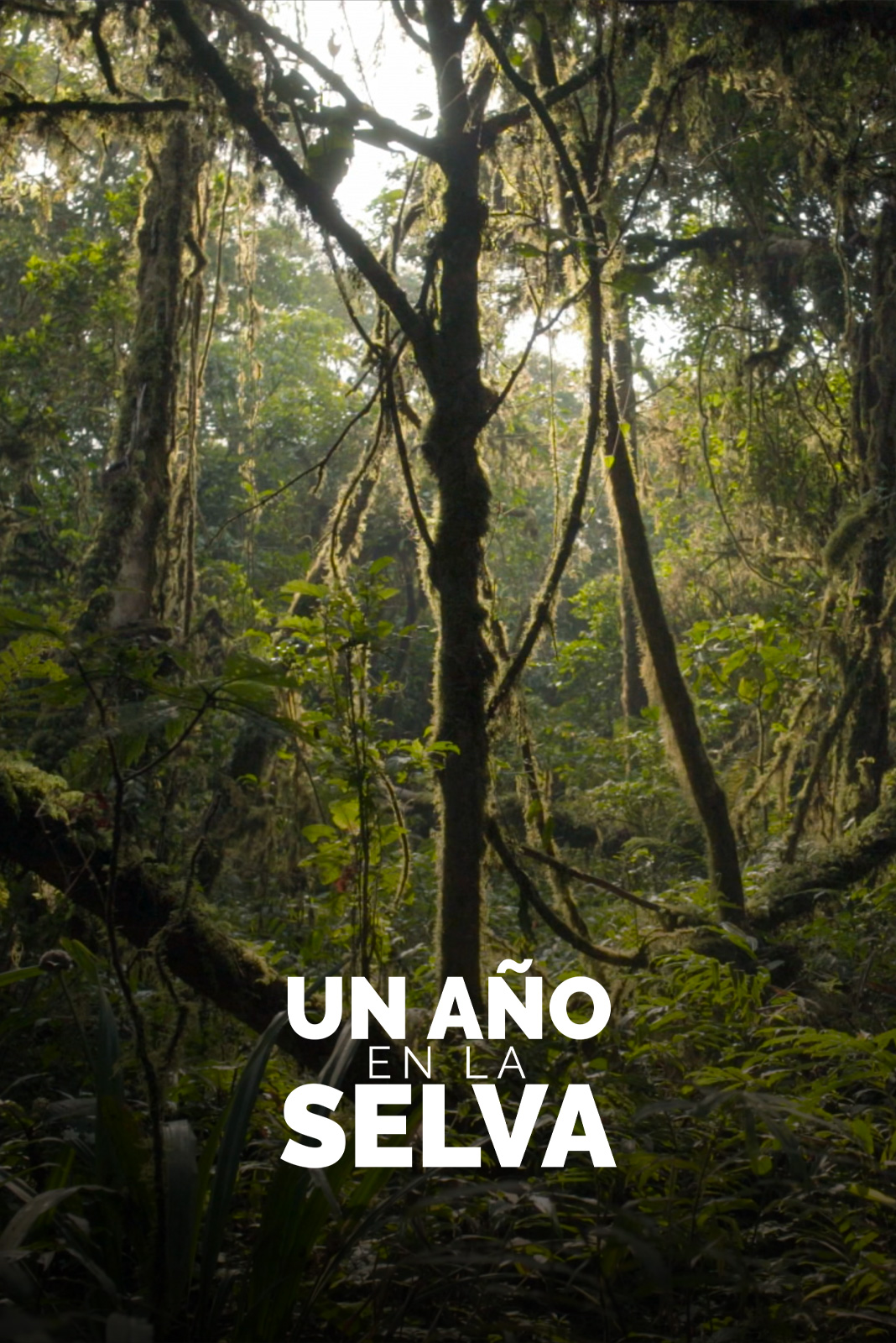 Un año en la selva