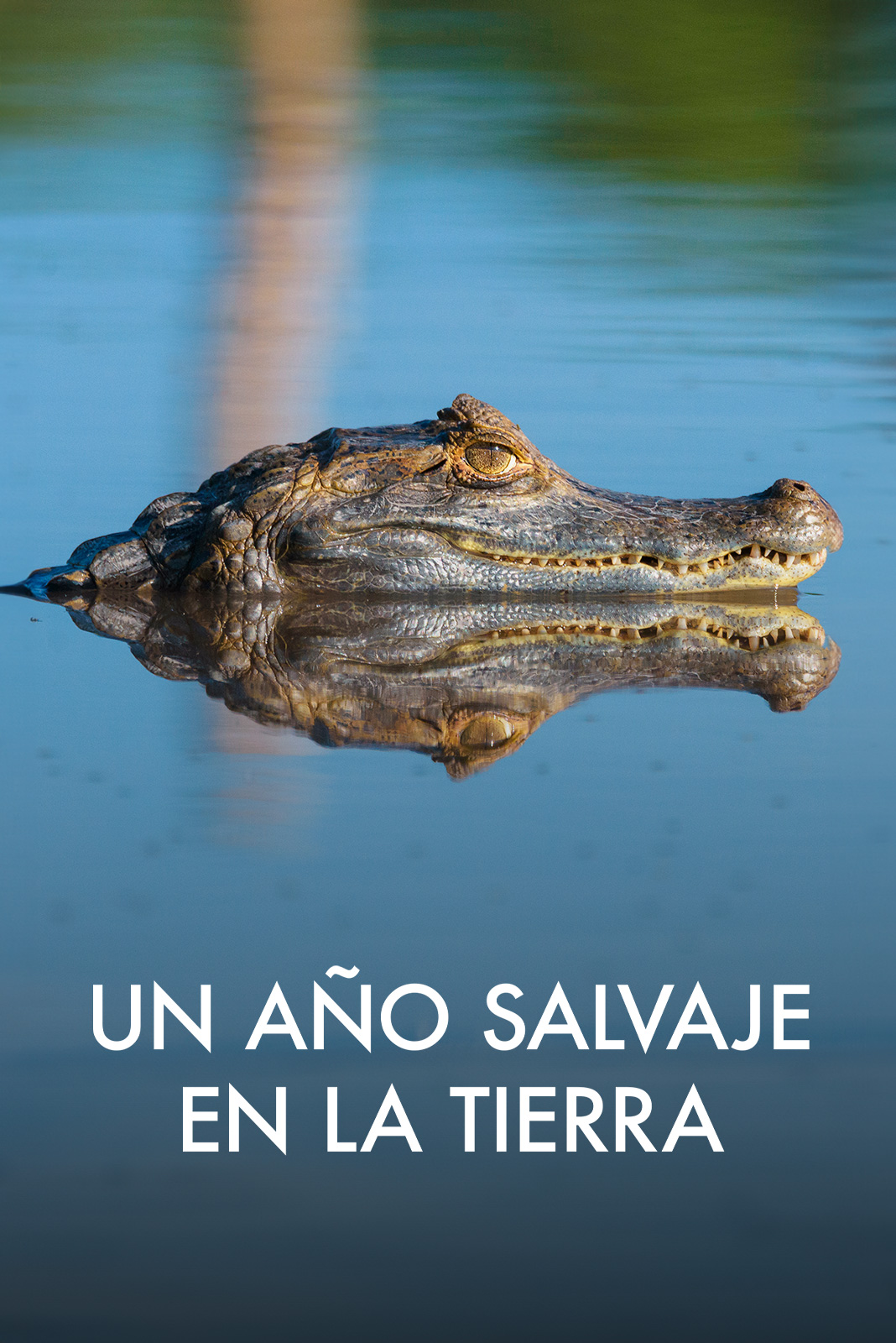 Un año salvaje en la Tierra
