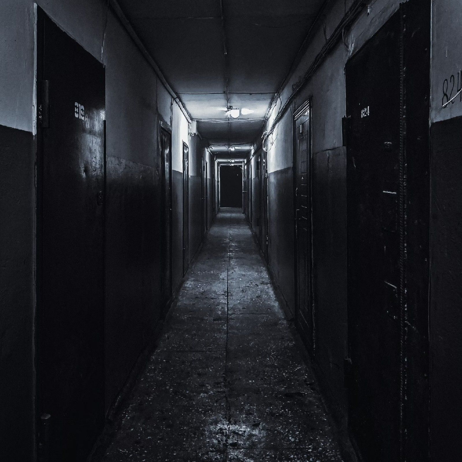 El sótano - Vence tus miedos - 01/12/25