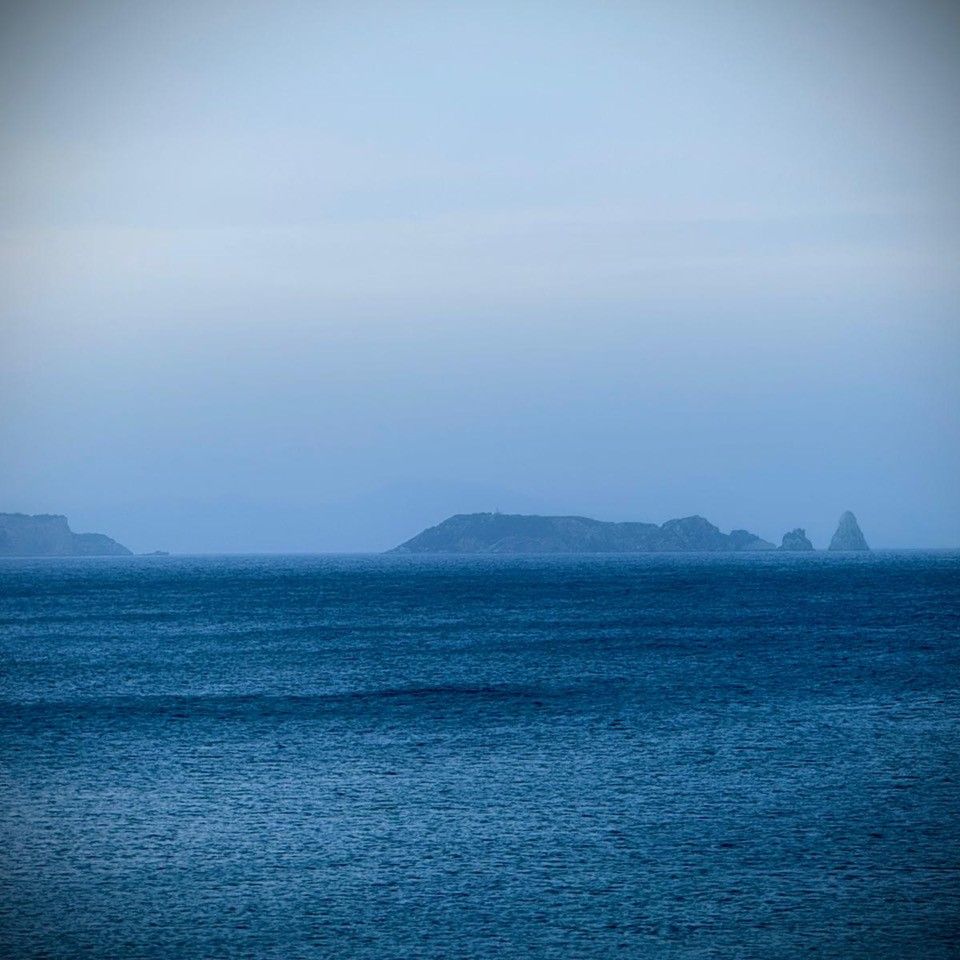 Alguien debería prohibir los domingos por la tarde - Viajes de domingo - 11/05/25 Alguien debería prohibir los domingos por la tarde - Viajes de domingo - 11/05/25