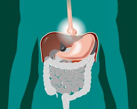 Vida sana con Julio Basulto - Hernia de hiato y alimentación Vida sana con Julio Basulto - Hernia de hiato y alimentación