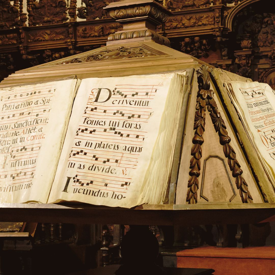 Sicut luna perfecta - La visitación y la ascensión - 31/05/25