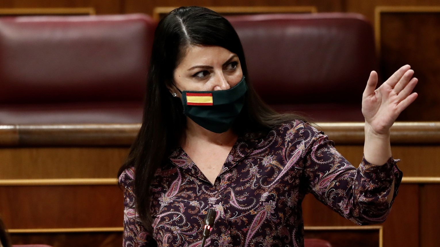 Vox recurre ante el constitucional el 