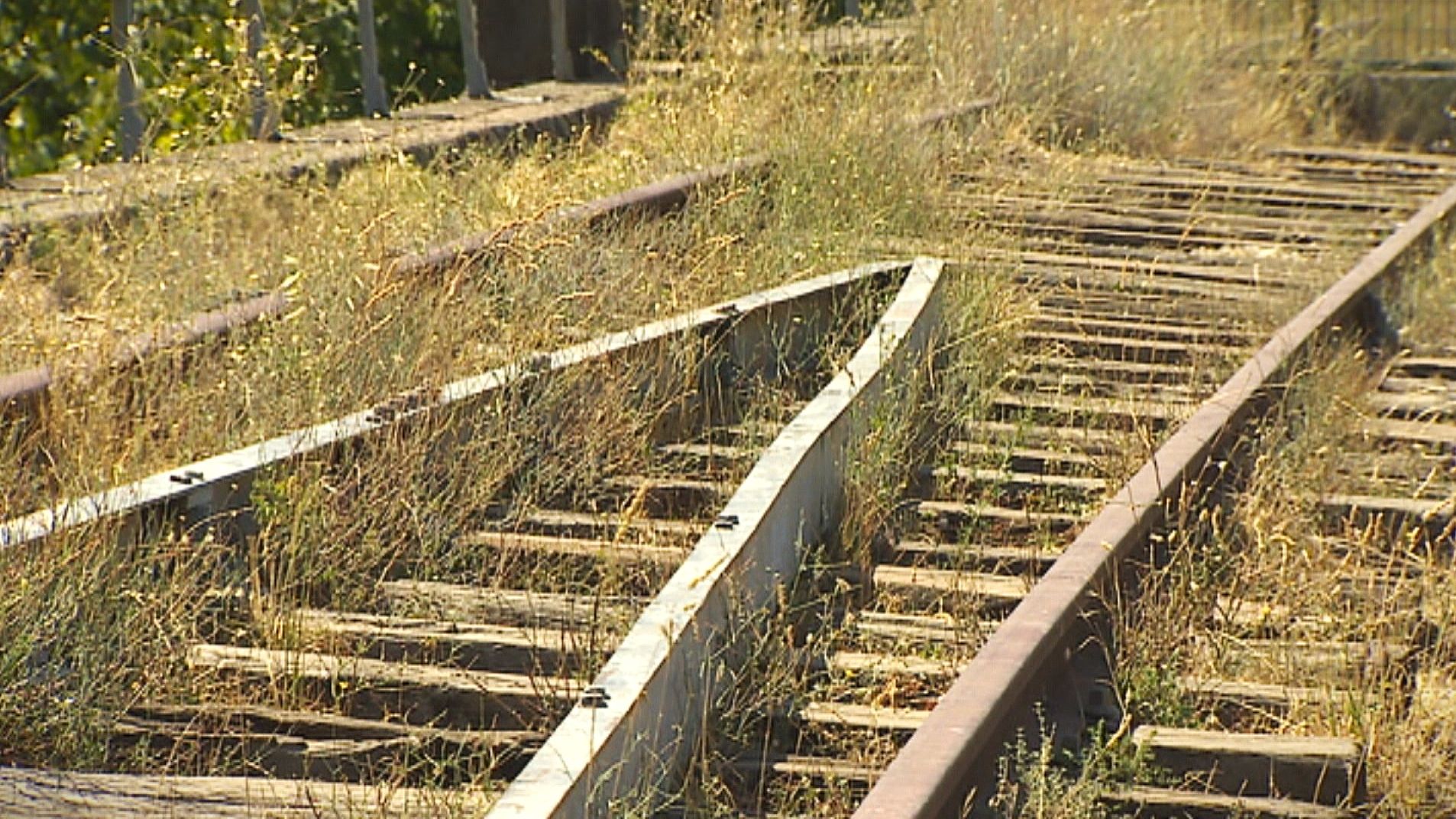 Young Extremaduran Voice Promotes Ruta de la Plata Train to European Parliament - News Directory 3