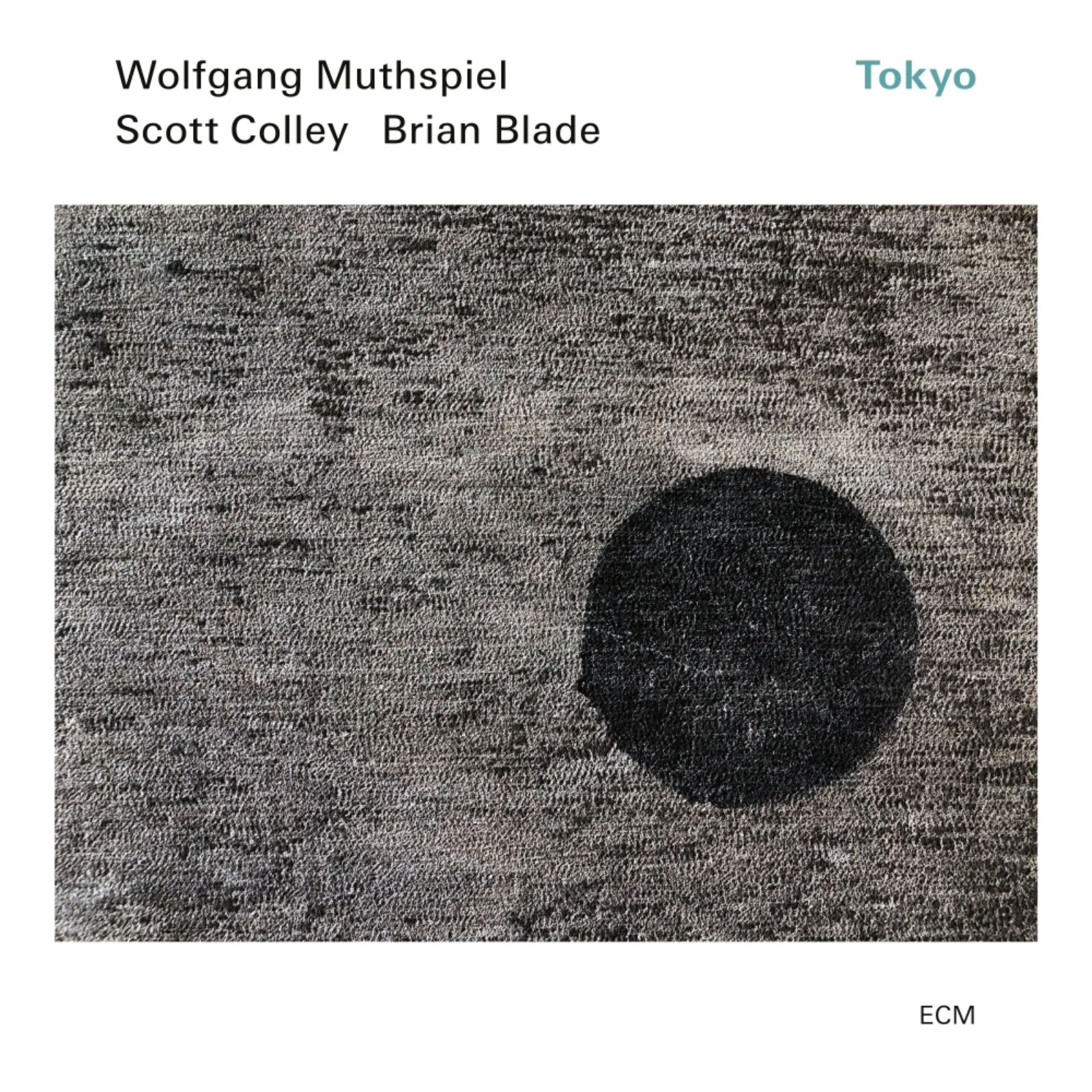 Jazz es finde - Wolfgang Muthspiel, Scott Colley & Brian Blade - 01/03/26 episode artwork