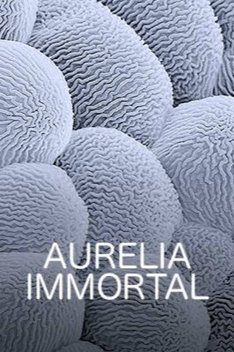 Aurelia Immortal