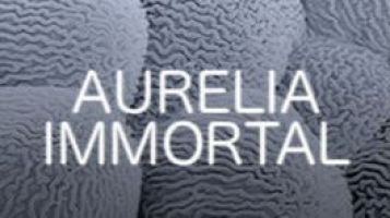Aurelia immortal