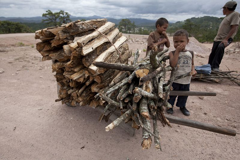Latinoamérica reduce en 56 millones el número de pobres en una década
