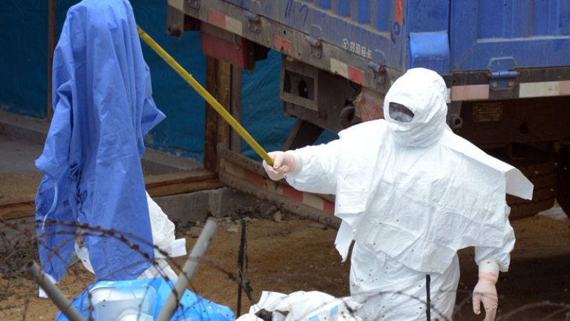 La OMS identifica dos vacunas "prometedoras" para evitar el contagio del ébola