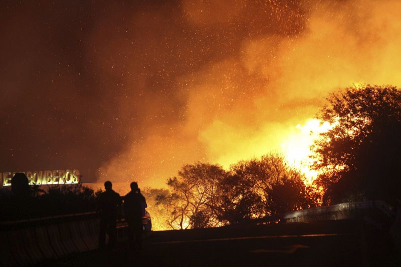 El fuego arrasa 41.206 hectáreas en lo que va de año, un 7,5% menos que en 2013