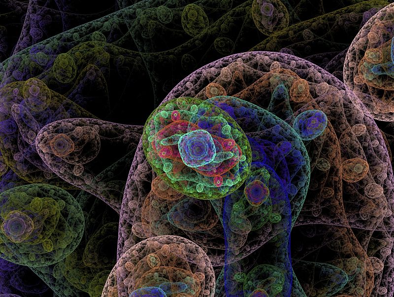 Descubren el mecanismo por el que las células se dividen