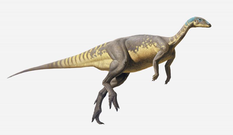 Descubren en la península una nueva especie de dinosaurio que vivió en el Jurásico