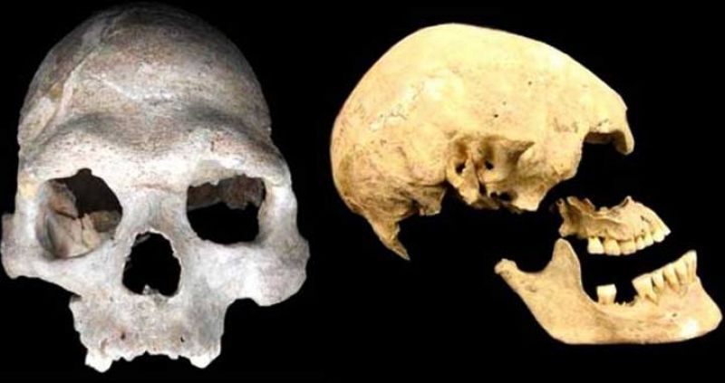 Los europeos modernos descienden de tres poblaciones humanas ancestrales