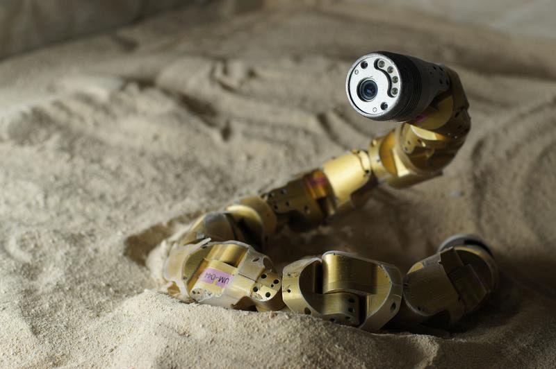Diseñan robots que imitan el movimiento de serpientes de cascabel