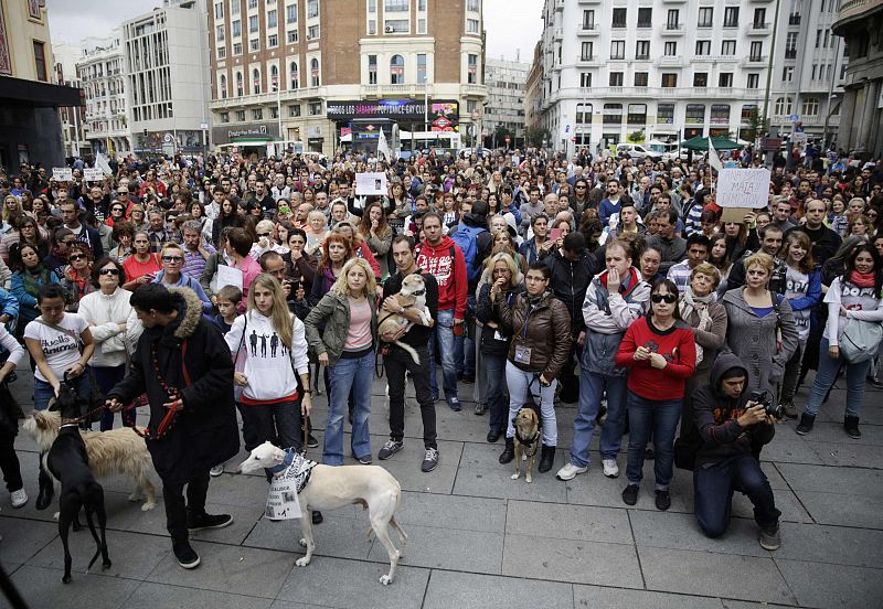 Varios cientos de personas se concentran en Madrid para apoyar a la auxiliar de enfermería