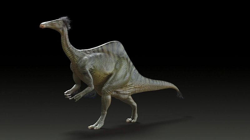 Descrifrado el misterio de "Manos terribles", un dinosaurio con aspecto de avestruz, tras 50 años