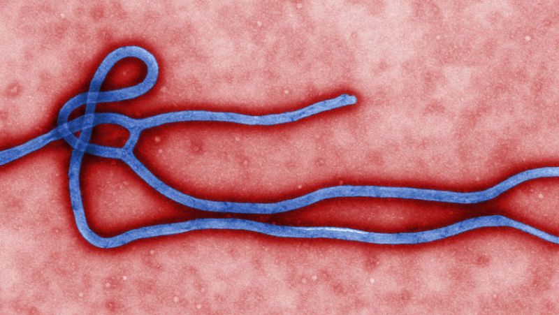 Las autoridades de Mali confirman el primer caso de ébola en el país