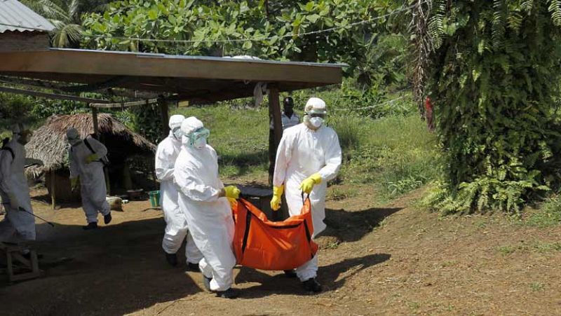 Los casos de ébola superan los 10.000 en los ocho países afectados, según la OMS