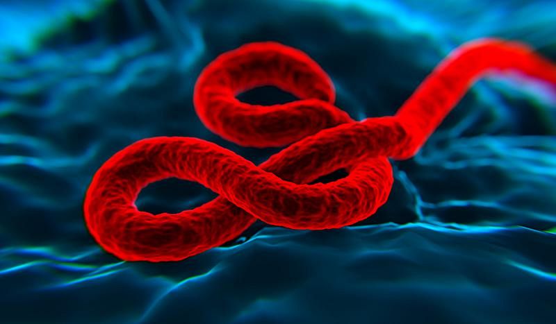 Los ensayos clínicos de una vacuna contra el ébola empiezan esta semana en Suiza