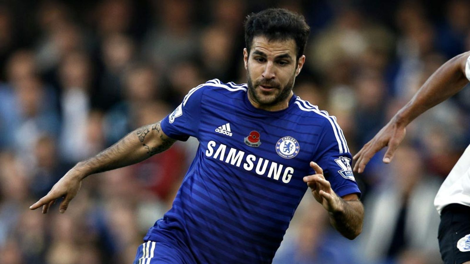 Cesc Fábregas no ha superado las pruebas médicas por sus problemas musculares y se perderá los partidos de España contra Bielorrusia y Alemania. En su lugar, Del Bosque ha llamado a Bruno Soriano.