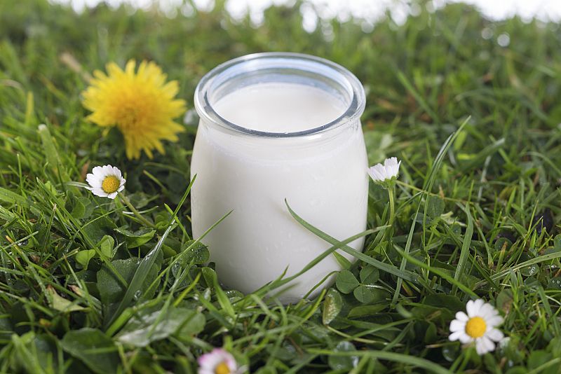 Descubren que el yogur es el único lácteo que previene de padecer diabetes tipo 2