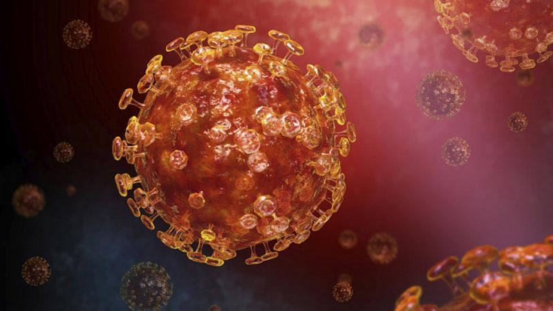 El Centro Nacional de Biotecnología ultima dos vacunas contra los coronavirus SARS y MERS