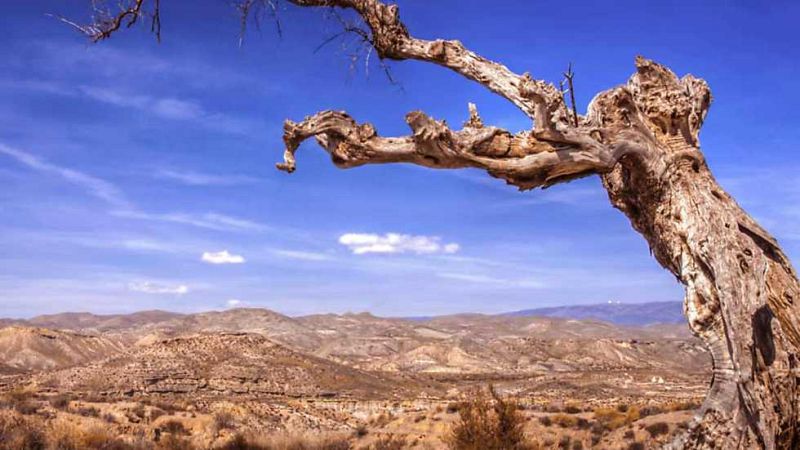 Si los paisajes hablasen...