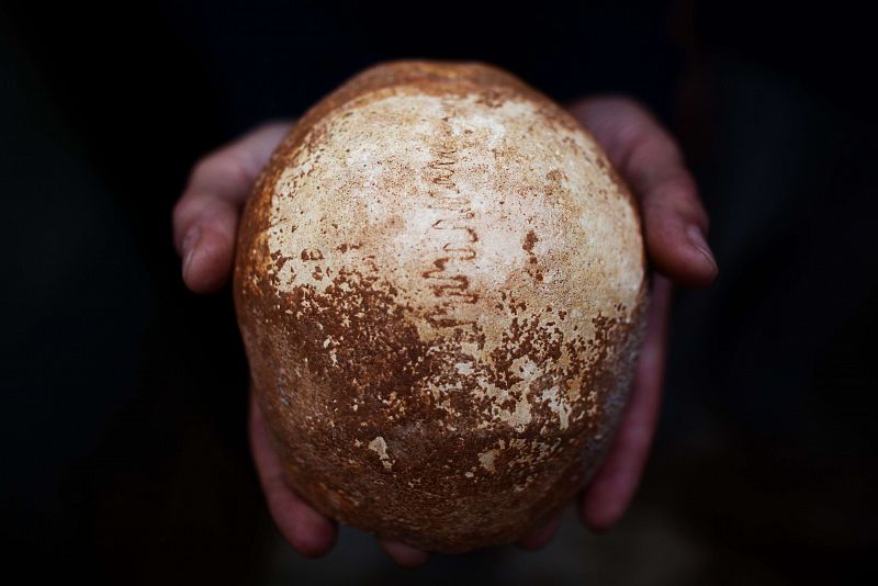 Un cráneo hallado en Israel da pistas sobre la migración a Europa de los humanos modernos