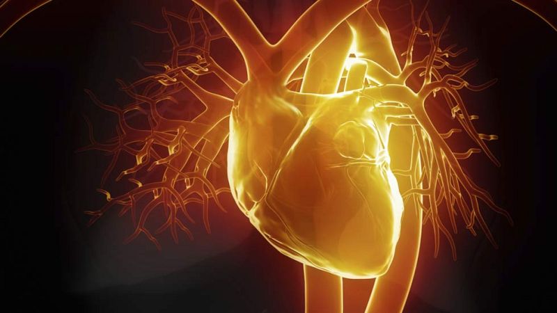 Una terapia pionera española usa células madre cardiacas de donantes para tratar infartos