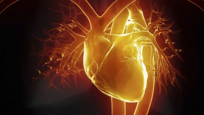 Una terapia pionera española usa células madre cardiacas de donantes para tratar infartos