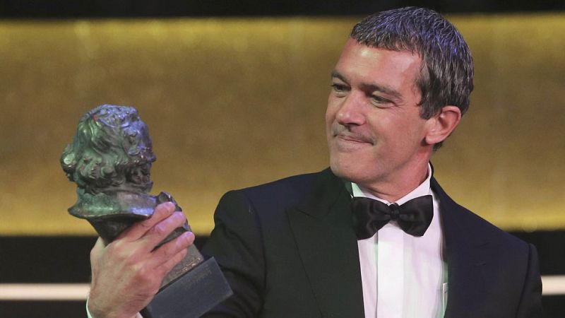 Antonio Banderas, Goya de Honor 2015: "Todo lo que tengo se lo debo a mi profesión"