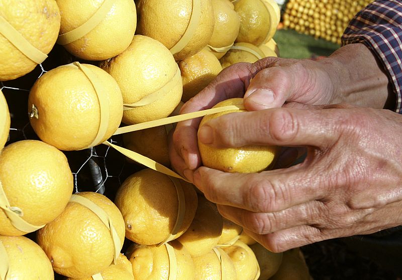 Sube el precio de los limones, el aceite y la harina entre un 30 y 60%