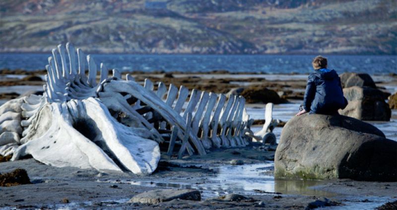 La teoría de una parte