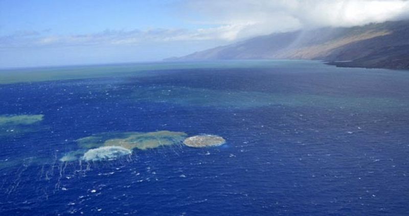 La erupción del volcán de El Hierro alteró el equilibrio bacteriano marino
