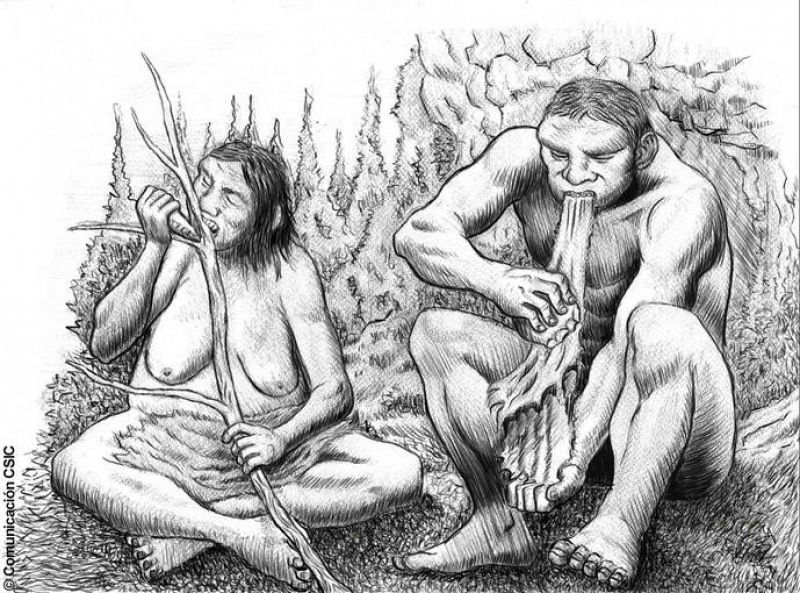 Hallan las primeras evidencias de que los neandertales dividían por sexo algunas tareas