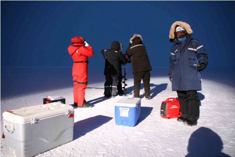 Descubren que hay bacterias en el Ártico que se alumbran en la noche polar
