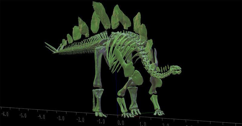 'Sophie', un dinosaurio herbívoro de 1,6 toneladas