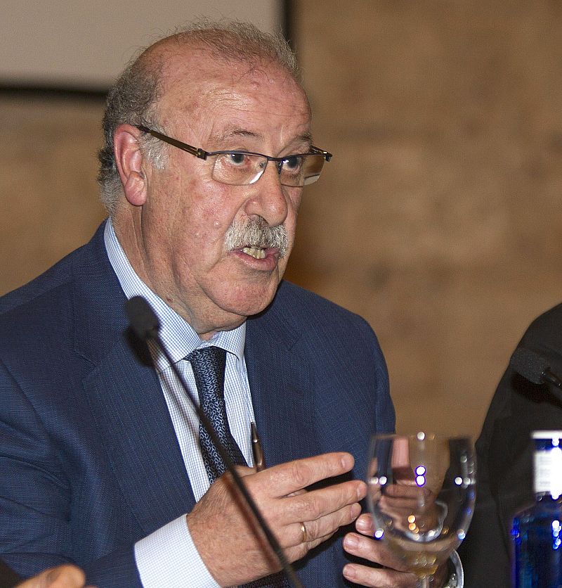 Del Bosque: "El partido contra Ucrania es un momento clave para la selección"