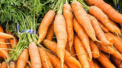 Recetas con zanahorias: Puré, mermeladas, guarniciones, zumos...