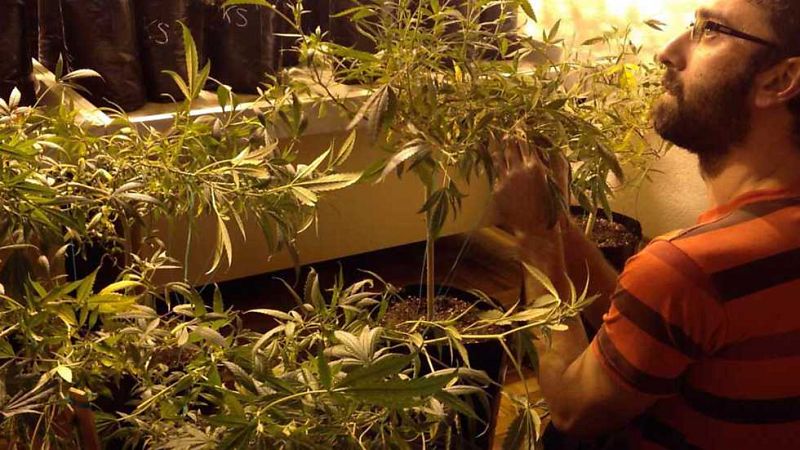 En Portada. "Semillas de Uruguay"