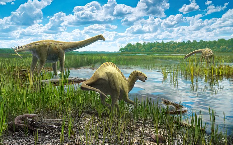 Los fósiles de 'Lo Hueco' revelan cómo era el clima de la península en el Cretácico Superior
