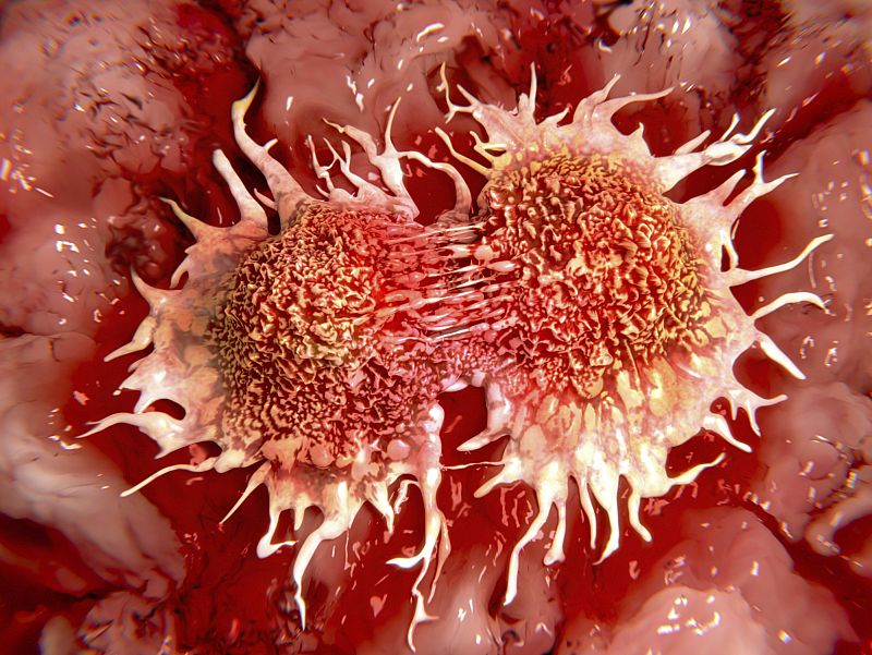 Un mecanismo de comunicación física entre células promueve la metástasis en cáncer