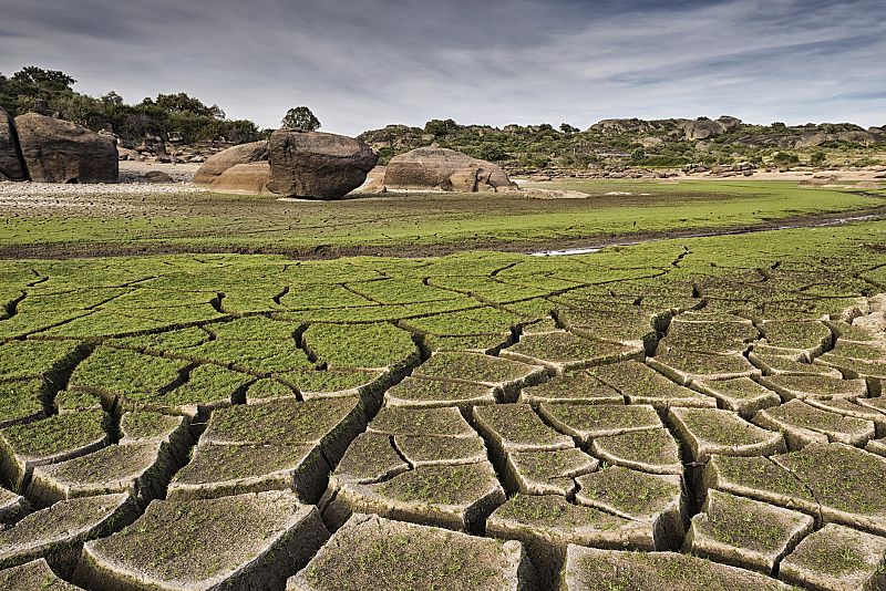 Veranos más largos con olas de calor de 50º, el clima en España en 2050 según un informe